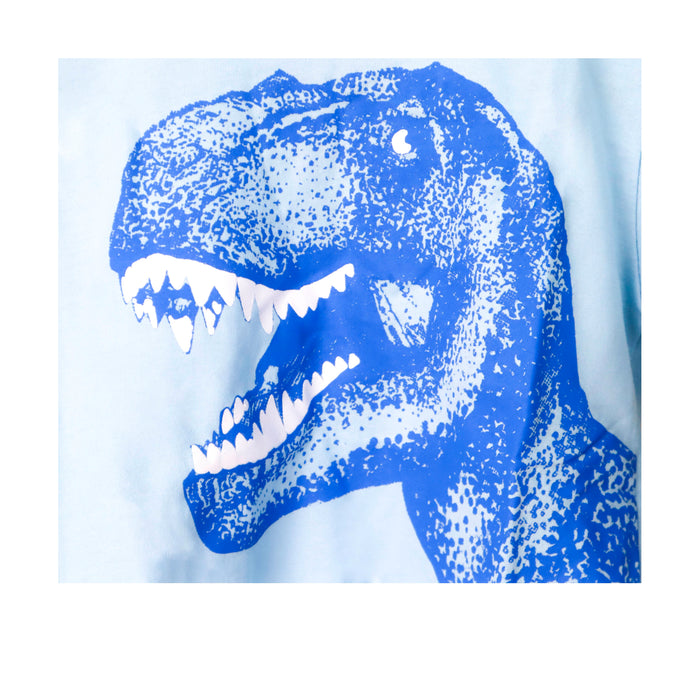 Kidscapade B Short Sleeves T-Shirt with Dinosaur Print - Aqua Blue