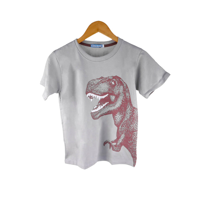 Kidscapade B Short Sleeves T-Shirt with Dinosaur Print - Gray