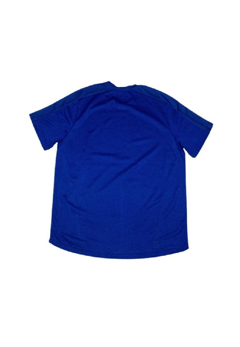 Landmark Short Sleeves Tshirt Round Neck Dri-fit With Reflective Print- Royal Blue