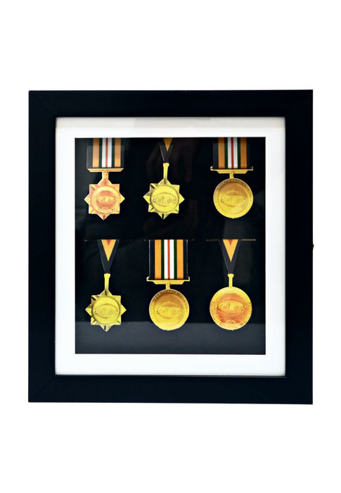 Landmark Medal Frame