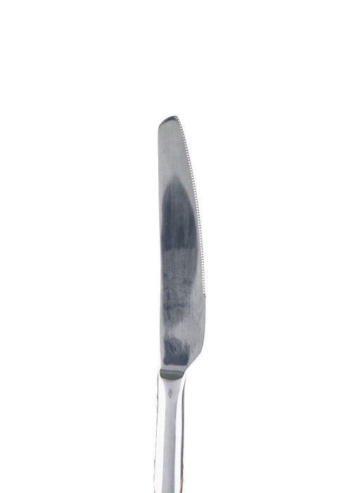 Lianyu Stainless Table Knife