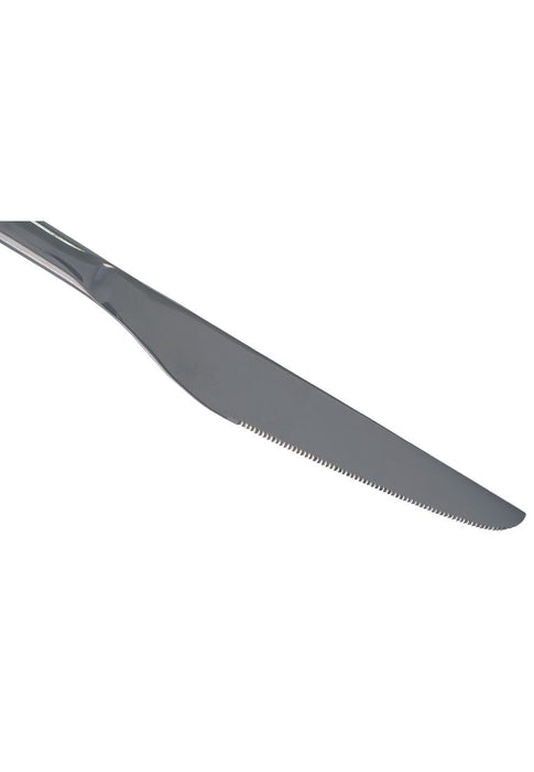 Lianyu Stainless Dinner Knife