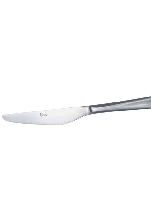 Lianyu Stainless Dinner Knife