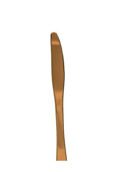 Prism Rose Gold Table Knife 20cm Set of 6